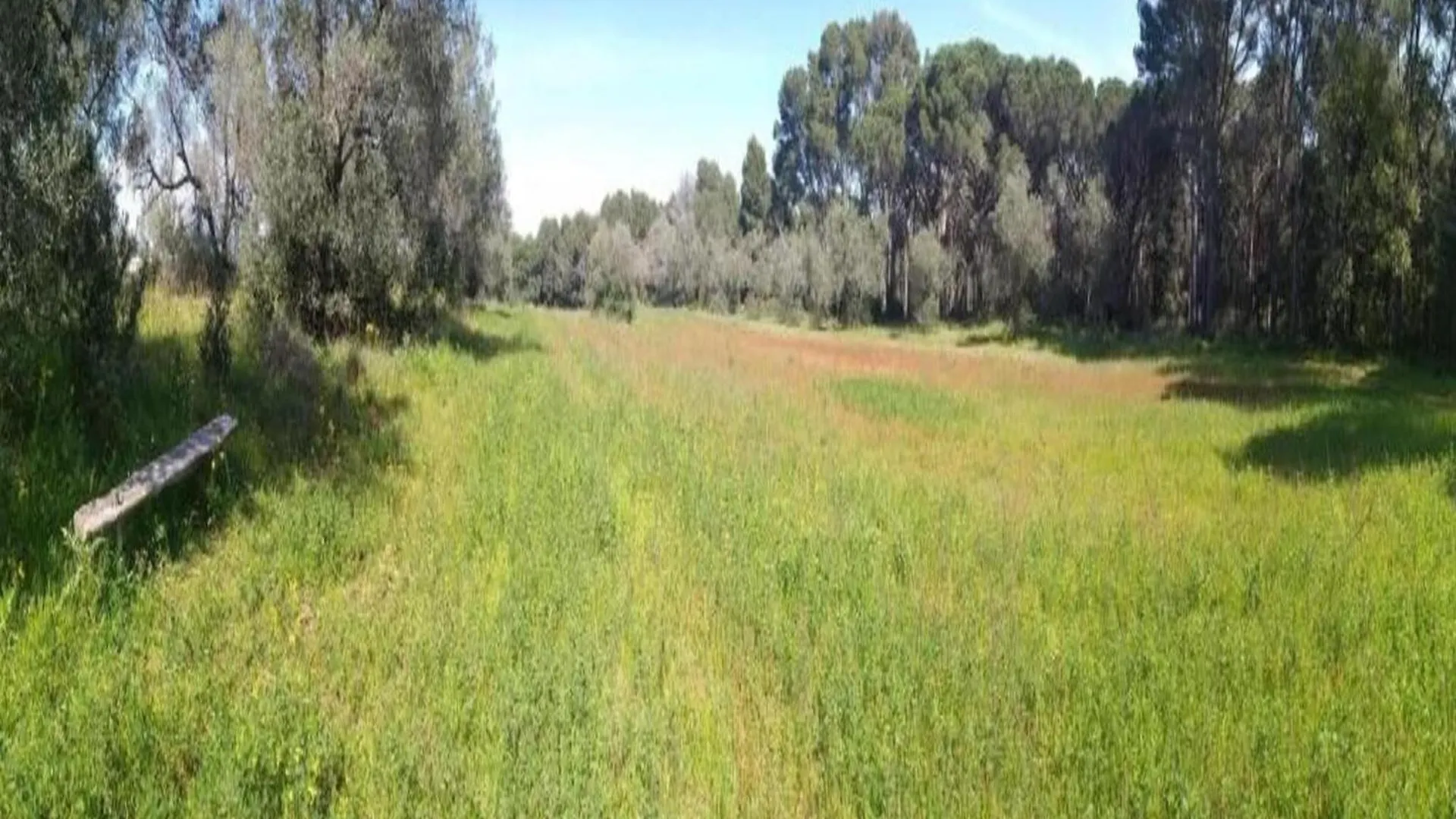 דירה פאלס Green Mar F 202